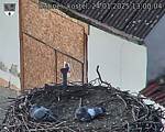 Capi_Dubne_20250124_130004.jpg