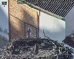 Capi_Dubne_20250124_150004.jpg
