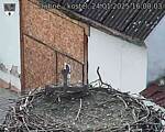 Capi_Dubne_20250124_160003.jpg