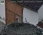 Capi_Dubne_20250124_170003.jpg