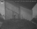 Capi_Dubne_20250125_050003.jpg