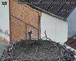 Capi_Dubne_20250125_130004.jpg