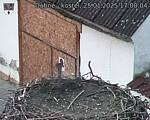 Capi_Dubne_20250125_170004.jpg