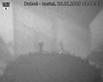 Capi_Dubne_20250126_010003.jpg