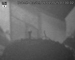 Capi_Dubne_20250126_030002.jpg