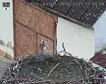 Capi_Dubne_20250126_100004.jpg