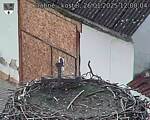 Capi_Dubne_20250126_120004.jpg