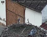Capi_Dubne_20250126_150004.jpg
