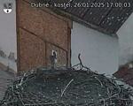 Capi_Dubne_20250126_170003.jpg