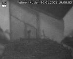 Capi_Dubne_20250126_190003.jpg