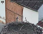 Capi_Dubne_20250127_090005.jpg