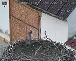 Capi_Dubne_20250127_100004.jpg