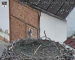 Capi_Dubne_20250127_110004.jpg
