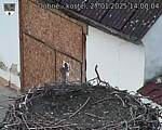 Capi_Dubne_20250127_140004.jpg