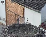 Capi_Dubne_20250127_150005.jpg