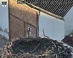 Capi_Dubne_20250127_160005.jpg