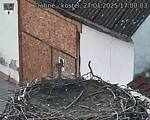 Capi_Dubne_20250127_170003.jpg