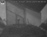 Capi_Dubne_20250128_040002.jpg