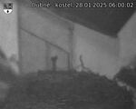 Capi_Dubne_20250128_060002.jpg