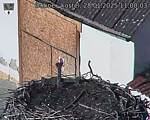 Capi_Dubne_20250128_110003.jpg