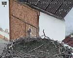Capi_Dubne_20250128_150004.jpg
