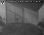 Capi_Dubne_20250128_200002.jpg