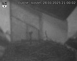 Capi_Dubne_20250128_210002.jpg