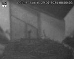 Capi_Dubne_20250129_000003.jpg