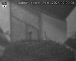 Capi_Dubne_20250129_020004.jpg