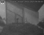 Capi_Dubne_20250129_040003.jpg