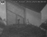 Capi_Dubne_20250129_060003.jpg