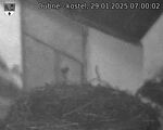 Capi_Dubne_20250129_070002.jpg