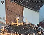 Capi_Dubne_20250129_080003.jpg