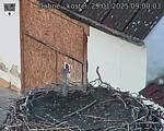 Capi_Dubne_20250129_090003.jpg