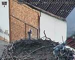 Capi_Dubne_20250129_150003.jpg