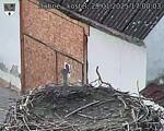 Capi_Dubne_20250129_170003.jpg