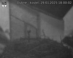 Capi_Dubne_20250129_180002.jpg
