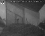 Capi_Dubne_20250129_190002.jpg