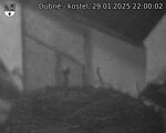 Capi_Dubne_20250129_220002.jpg
