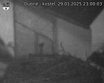 Capi_Dubne_20250129_230003.jpg