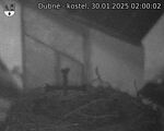 Capi_Dubne_20250130_020002.jpg