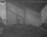 Capi_Dubne_20250130_050002.jpg