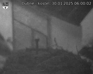 Capi_Dubne_20250130_060002.jpg (1350 x 1080)