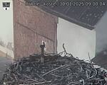Capi_Dubne_20250130_090004.jpg