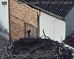 Capi_Dubne_20250130_150004.jpg