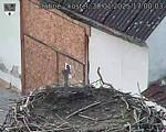 Capi_Dubne_20250130_170003.jpg