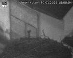 Capi_Dubne_20250130_180004.jpg