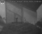 Capi_Dubne_20250130_230003.jpg