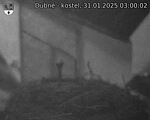 Capi_Dubne_20250131_030002.jpg