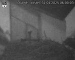 Capi_Dubne_20250131_060003.jpg